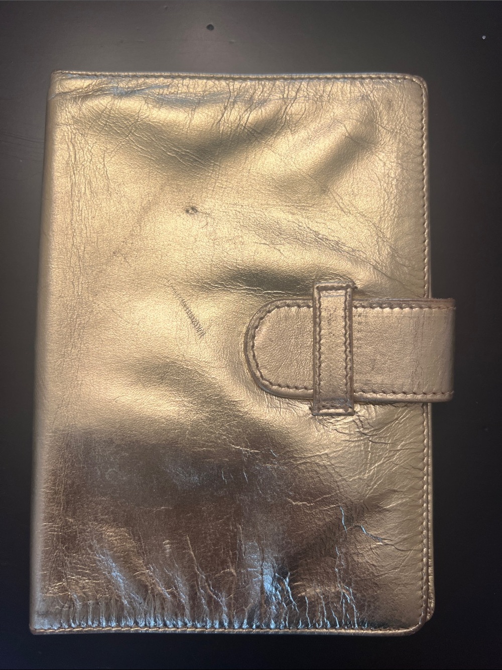 Metallic Gold Leather Organizer Wallet